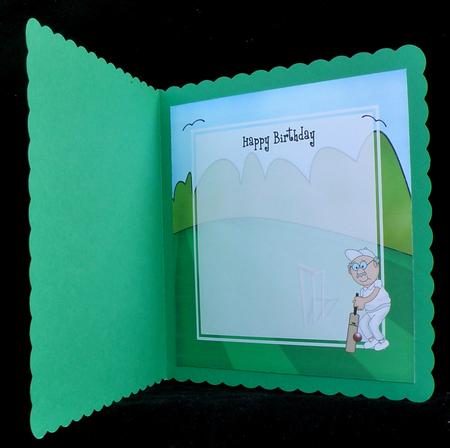 Bert Plays Cricket Matching 8 x 8 Insert Panal by Suzi Cooper