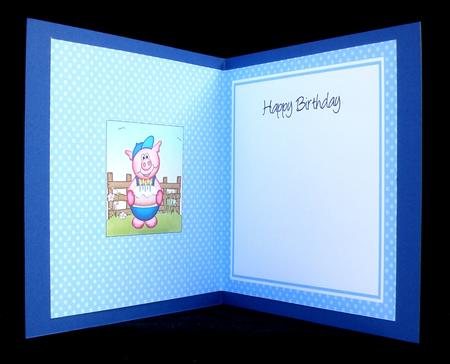 Ziggy Piggy N Postbox Matching Insert Square Landscape by Suzi Cooper