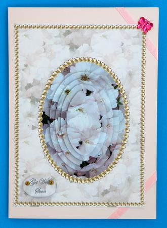Blossom and Pearls by Suzi Cooper