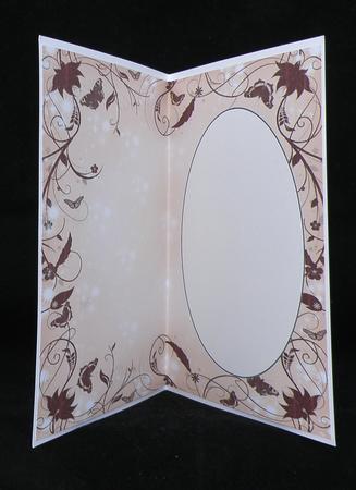 Peach Floral Butterfly Insert by Suzi Cooper