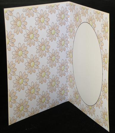 Peach Daisy Insert 1 by Suzi Cooper