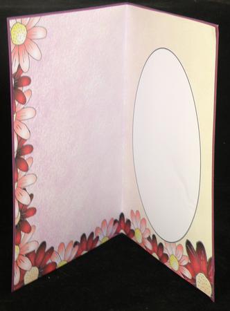 Red Daisy Edged Insert 2 by Suzi Cooper