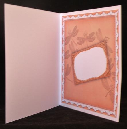 Borange Dragonfly 8inch Orchid Card Insert Panel by Suzi Cooper