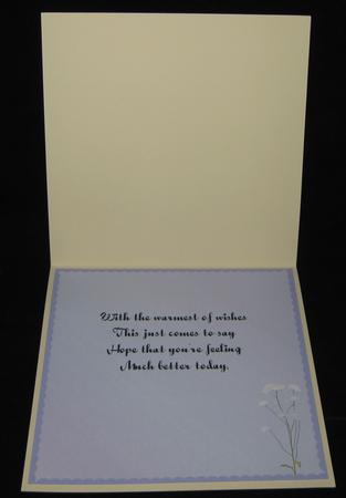 8 Inch Insert - Get Well Soon 3 by Suzi Cooper