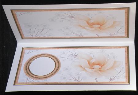 Peach Magnolia Dl Insert Panels by Suzi Cooper