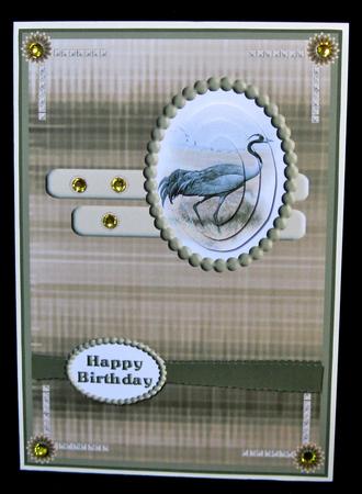 Bird Card Front (1) by Suzi Cooper