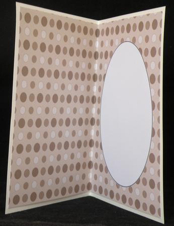 Brown Spot Insert by Suzi Cooper
