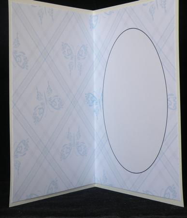 Patterned Butterfly Insert 1 by Suzi Cooper