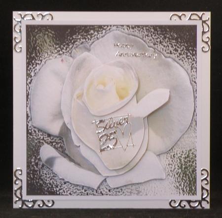 Silver Anniversary Rose by Suzi Cooper