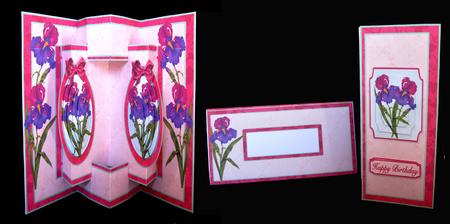 3D Double Concertina Pop-out  by Suzi Cooper