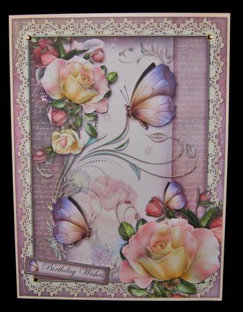 Summer Roses by Suzi Cooper