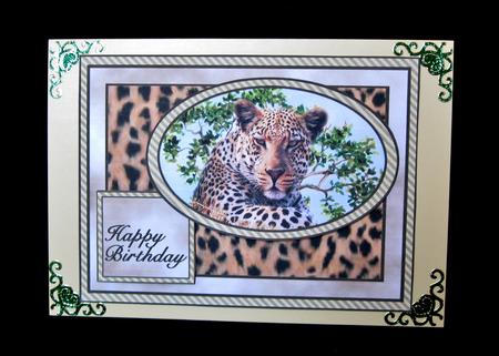 Leopard Quick Card by Suzi Cooper