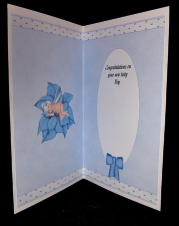 Baby Boy Insert on Leaf by Suzi Cooper