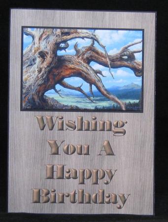 Quick Card - Bristlecone Pine by Suzi Cooper
