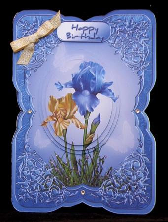 Shaped Mini Kit - Blue Iris by Suzi Cooper