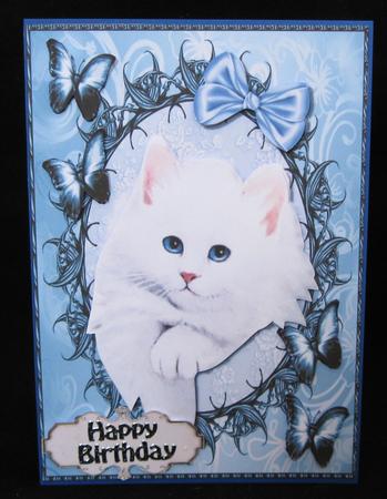 Adorable White Fluffy Cat by Suzi Cooper