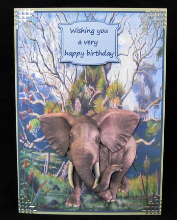 Elephant in the Jungle by Suzi Cooper