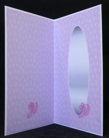 Insert Pink by Suzi Cooper