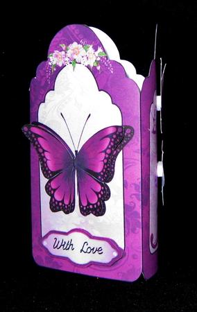 Butterflies and Flowers by Suzi Cooper
