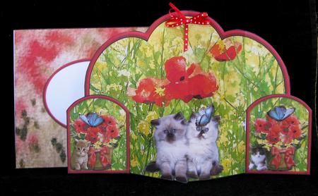 Poppy Garden Pop Out Card & Envelope by Suzi Cooper