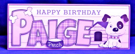 Patch the Dog Paige Large Dl by Suzi Cooper