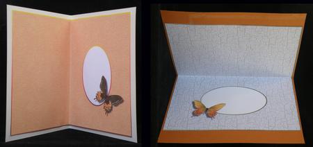 A6 No 1 by Suzi Cooper