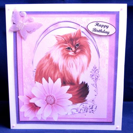 Cat Portrait Pink Quick & Easy Card Topper & Insert by Suzi Cooper