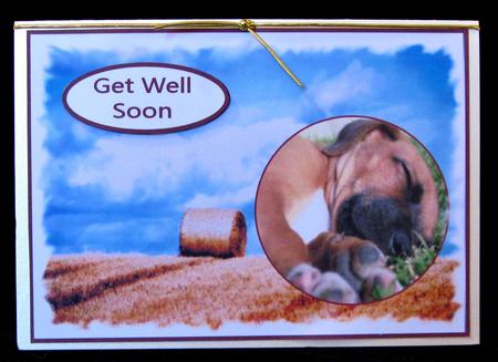 Happy Retirement by Suzi Cooper