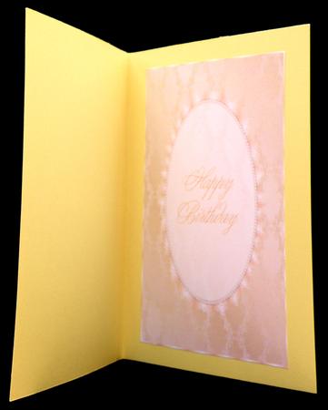 A4 Gold Fancy, Ivory Lace and Pearl Insert 2 by Suzi Cooper