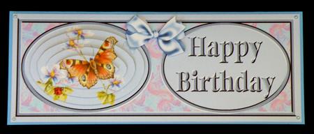 Butterfly Birthday Dl Card Front by Suzi Cooper