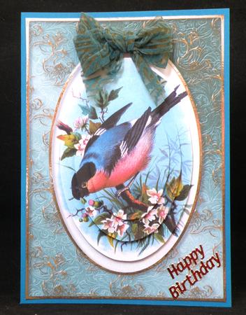 Colourful Bullfinch in a Golden Frame by Suzi Cooper