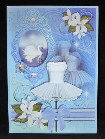 On Swan Lake by Suzi Cooper