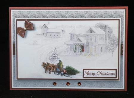 Bringing Home the Tree Quick Card by Suzi Cooper