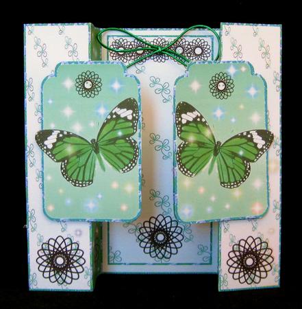 Butterfly Fold Back 4 by Suzi Cooper