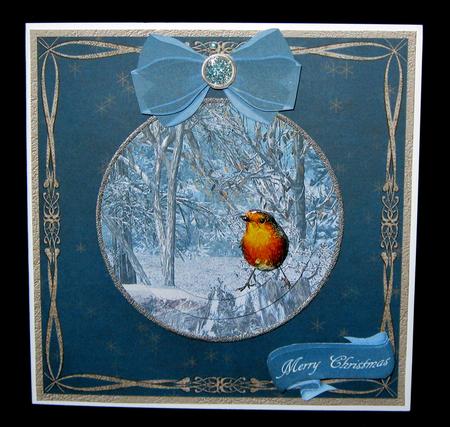 Robins Winter by Suzi Cooper