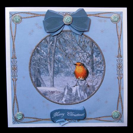 The Winter Robin by Suzi Cooper