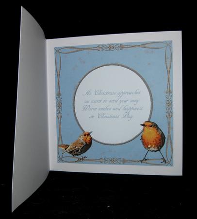 The Winter Robins Insert 1 by Suzi Cooper