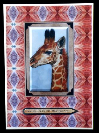 Wildlife Duodecoupage Bumper Kit by Suzi Cooper