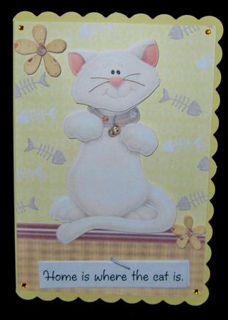 Lovely White Cat by Suzi Cooper