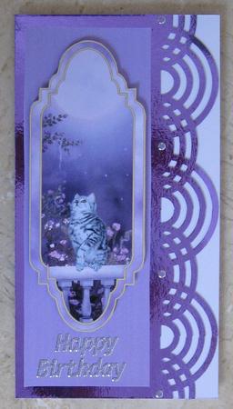Cute Kitten Card Topper by Suzi Cooper