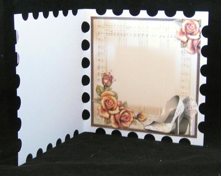 Insert to Compliment the Music Shoes by Suzi Cooper