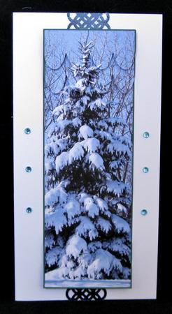 Snow Laden Tree Large Dl Scallop Stacker Topper by Suzi Cooper