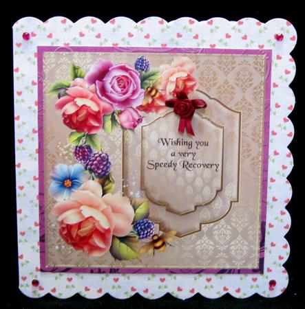 Roses for Everyone by Suzi Cooper