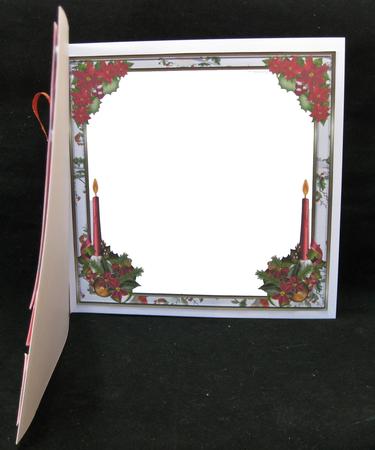 Christmas Holly & Berries 8 x 8ins Insert 2 by Suzi Cooper