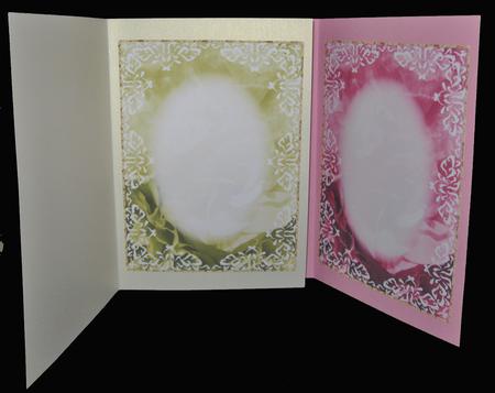 Soft Blank Inserts 10 by Suzi Cooper