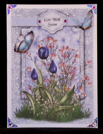 Garden Delight by Suzi Cooper