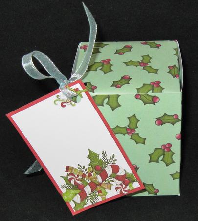 Christmas Holly Backing Paper (light Green) by Suzi Cooper
