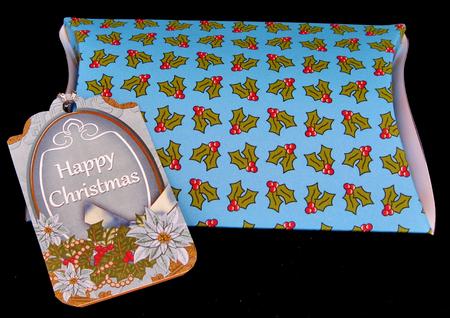 Christmas Holly Paper (cyan) by Suzi Cooper