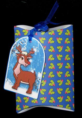 Christmas Holly Paper (blue) by Suzi Cooper