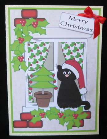 Christmas Cat and Window by Suzi Cooper